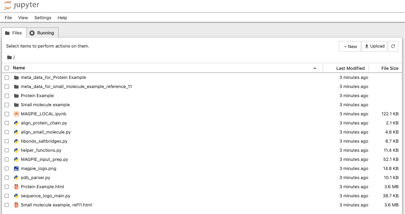 _images/MAGPIE_Jupyter_nb.png